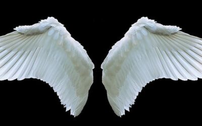 Not All Angels Wear Wings