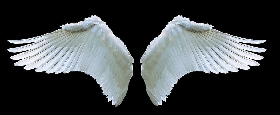 Not All Angels Wear Wings